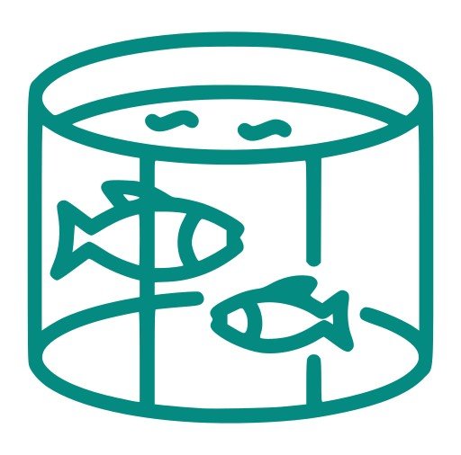 fish 2